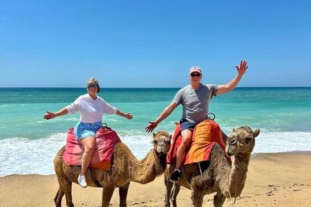 Luxury All-Inclusive Tangier Day Trip from Marbella