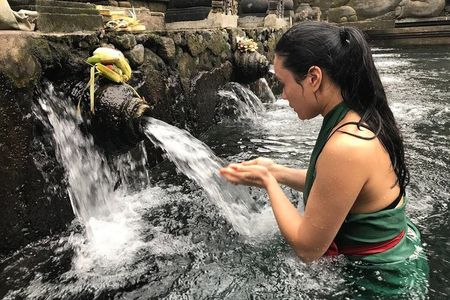 Ubud Waterfalls, Holy Spring Temple & Rice Terraces Private Tour