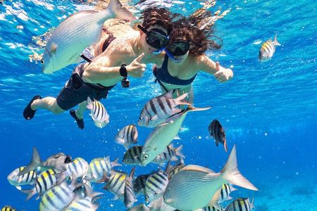 Cozumel Three Reefs Snorkel Tour +Beer, Drinks, Glass bottom boat