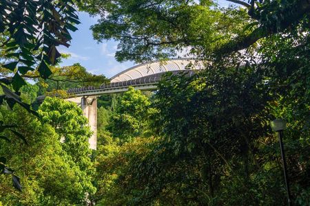 Mount Faber, Henderson Waves and Southern Ridges Tour