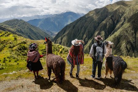 Stroll with llamas and alpacas in Chinchero and lunch