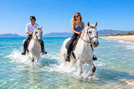 Bodrum: Beach Horseback Riding with Sunset Option