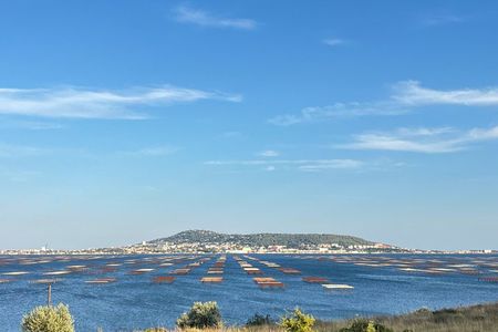 tour to Sete, an oyster farm & Wine Tasting