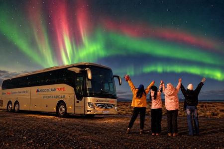 Reykjavik: Northern Lights Coach Tour with Local Hunters