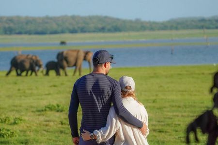 Minneriya National Park Private Jeep Safari with Expert Guide