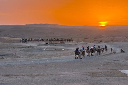 Agafay Desert: Private Dinner & Camel Ride From Marrakech