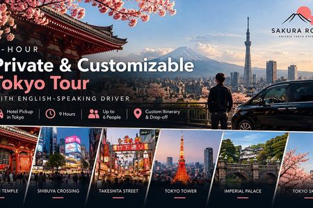 9 Hour Private and Custom Tokyo Tour with English Speaking Driver