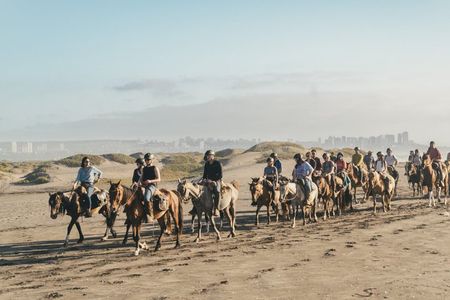 Ritoque Horseback Ride: Forest, Dunes & Beach with Chilean BBQ