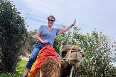 Luxury Full-Day Private Tangier Tour & Camel Ride