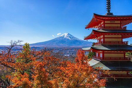 Tokyo / Shinjuku: Mount Fuji Day Tour Lake Kawaguchi & Yamanaka