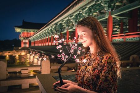 Old Korea Thousand History Tour of Gyeongju from Busan