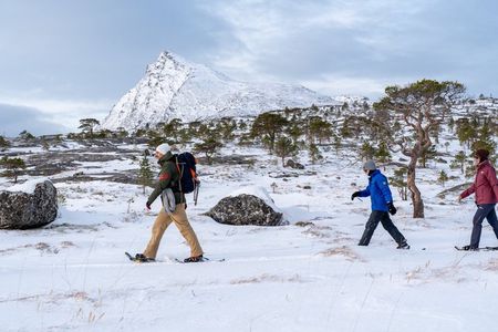 Snowshoeing - Winter Day Trip in Bodø, Northern Norway