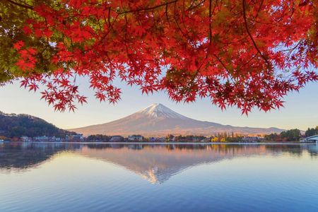 Exclusive Day Tour to Mount Fuji and Oshino Hakkai from Shinjuku