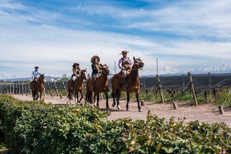 Horseback vineyards Riding, Culinary Experience at Bodega Bandini