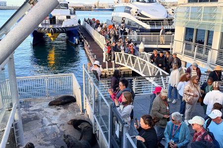 Half Day Tour to Robben Island with Reserved Tickets