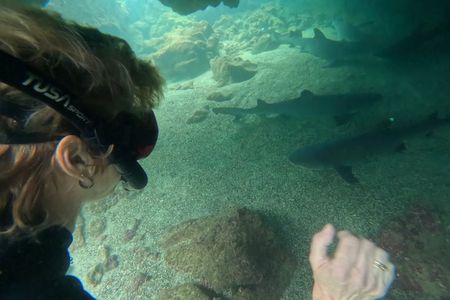 10-Day Galapagos Tour: Santa Cruz, Isabela & San Cristobal