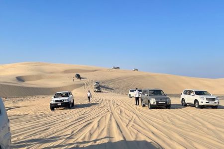 Doha: Desert Safari (Private Tour) with Pick Up & Drop Off