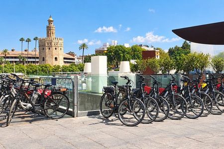 Seville: 2.5-Hour Electric Bike Tour with Local Guide