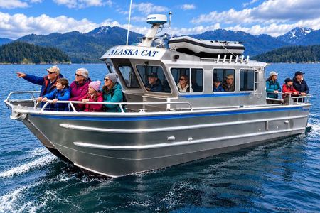 Private 6-Hour Juneau Whale Watching and Custom Sightseeing Tour