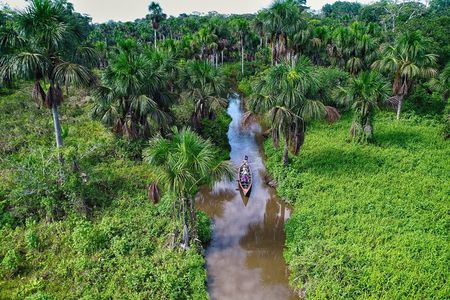 4-Day Tambopata Amazon Rainforest Adventure
