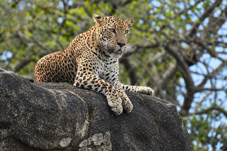 Big Animals and Birds Safari from Hambantota Port