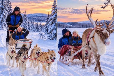 Lapland Reindeer and Husky Safari from Levi