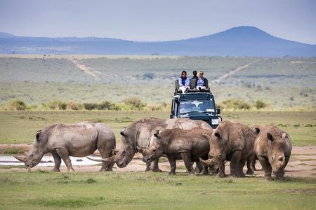 Nairobi National park safari.