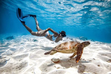 Private Turtle and Ray Tour Rarotonga