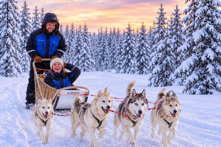 Rovaniemi Husky Adventure: 2 km Ride & Farm Visit