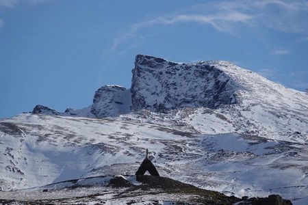Sierra Nevada Safari – Small Group Tour Up to 2,500 Meters