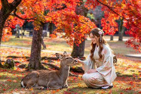 Kyoto & Nara & Uji: Full Day Sightseeing Tour from Osaka or Kyoto