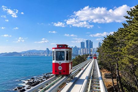 Busan Highlights: Small Group, Hotel Pick-up & Sky Capsule
