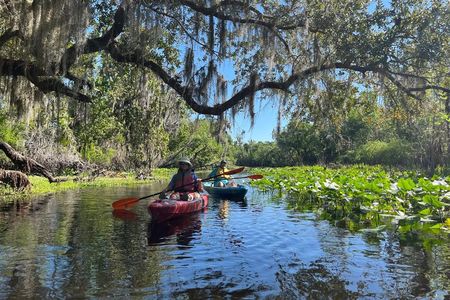 Wekiva River Guided Kayak Tour