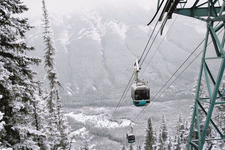 Banff Highlights and Wildlife Small Group Tour with Gondola