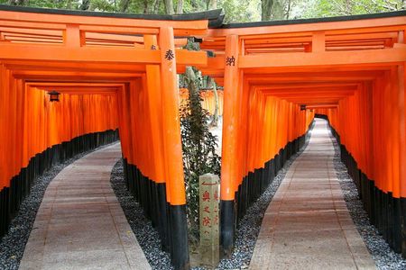 PERFECT KYOTO 1-Day Bus Tour