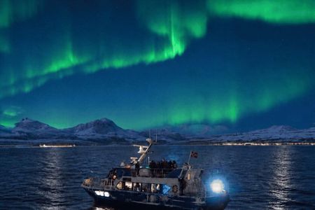 Tromsø: Evening Aurora Cruise