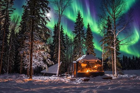 Dinner with Northern Light hunt in Rovaniemi
