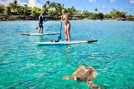 Stand Up Paddle Boarding Tour in Turtle Town, Maui