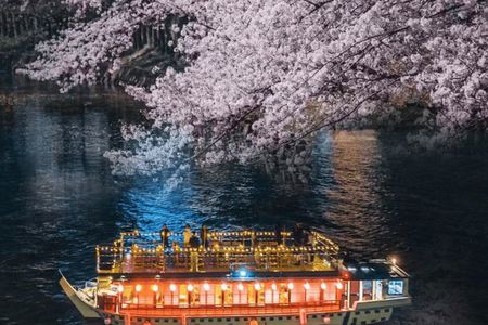 Tokyo: Sumida River Cherry Blossom Cruise & Japanese Cuisine
