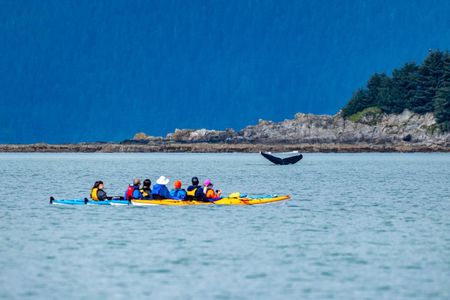 Juneau Shore Excursion: Paddle with Whales Kayak Adventure