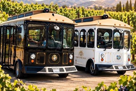 Temecula Wine Tour - Temecula's only Luxury Trolleys!