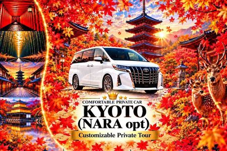 Kyoto & Nara Customizable Private Car Tour (Local English Guide)