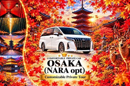 Osaka Customizable Private Tour - Nara opt (Local English Guide)