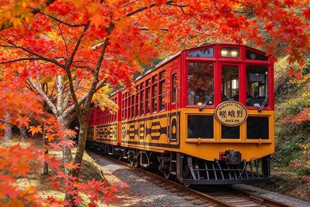 Arashiyama Sagano Romantic Train，Fushimi Inari Taisha & Nara Park