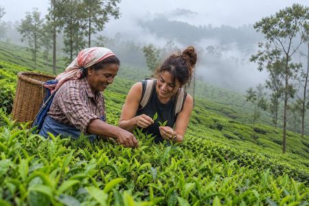 Kochi Private Munnar Day Tour