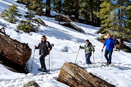 Lake Tahoe Guided Snowshoe Tour with Round-Trip Transportation