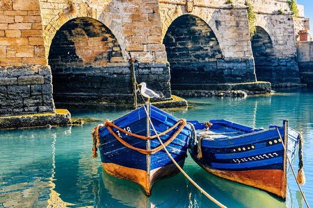 Excursion to Essaouira from Marrakech: medina, port and argan