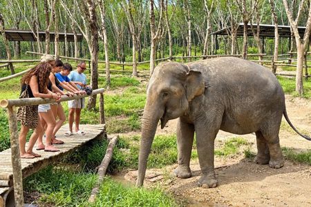 Khao Lak Elephant Sanctuary Small-Group Guided Tour