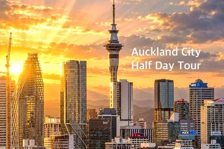 Auckland City Half Day Top Sightseeing Tour(Small Group Tour)