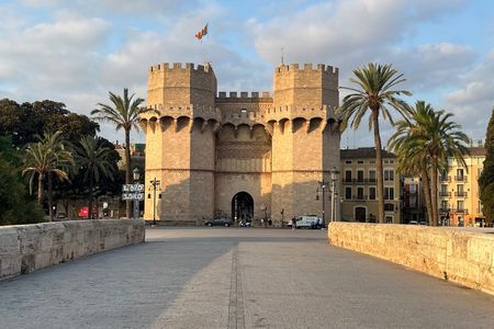 Private tour of Valencia: old town, El Carmen and Street Art